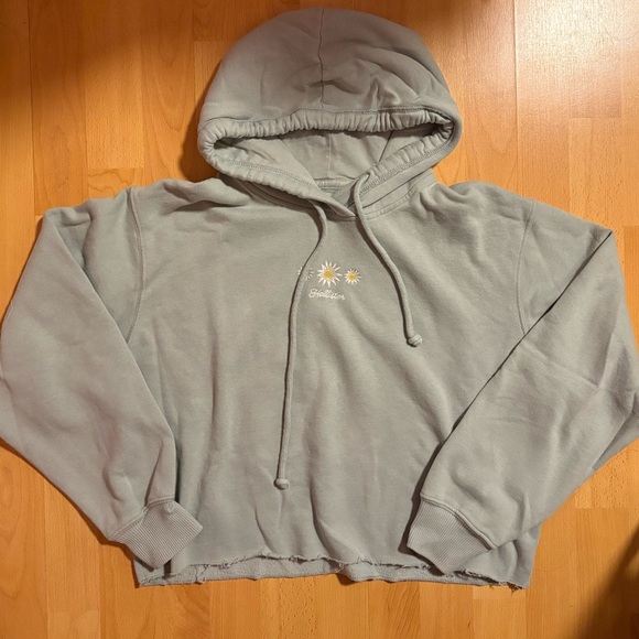 Hollister Mint Green Daisy Cropped Boyfriend Hoodie - Picture 1 of 3